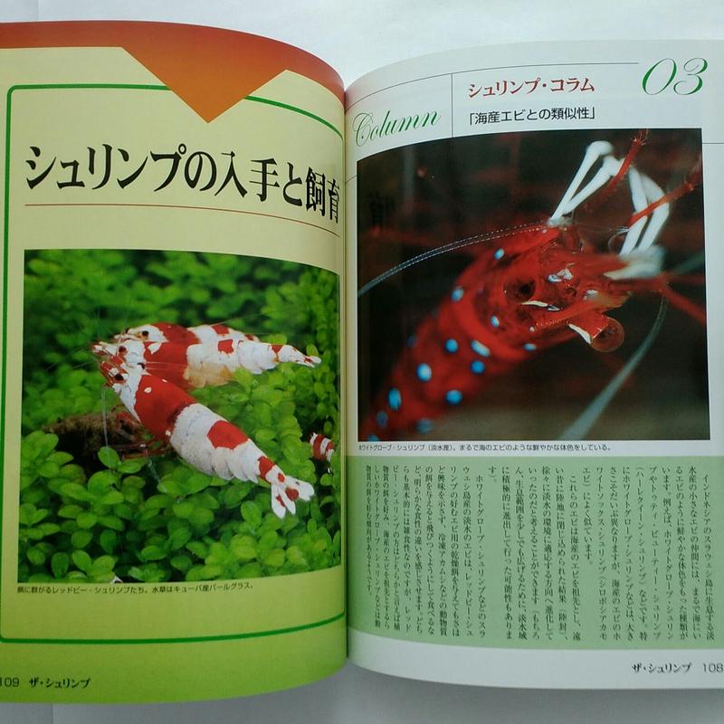 22激安通販 ザ シュリンプ 小型淡水エビの飼い方と楽しみ方 アクアリウム シリーズ カレンダー Www We Job Com