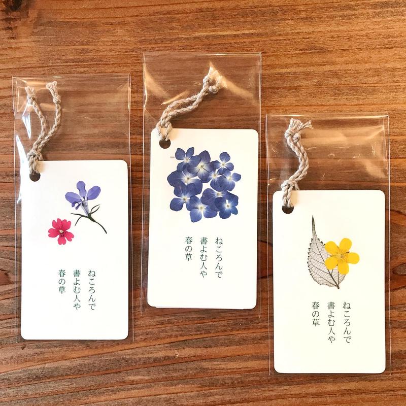 ツバキ舎 押し花俳句栞 ツバキ舎