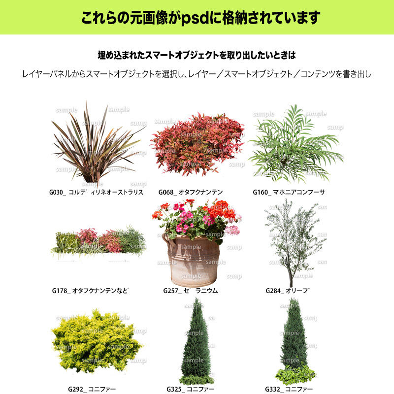 ガーデン植栽パースセット Gp001 02 樹木素材 Com ガーデン植栽パースセット Gp001 02 樹木素材 Com