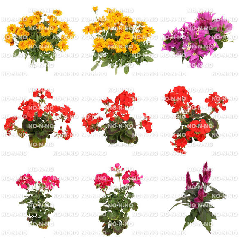 花の切り抜き素材 9個セット F 014 樹木素材 Com 花の切り抜き素材 9個セット F 014 樹木素材 Com