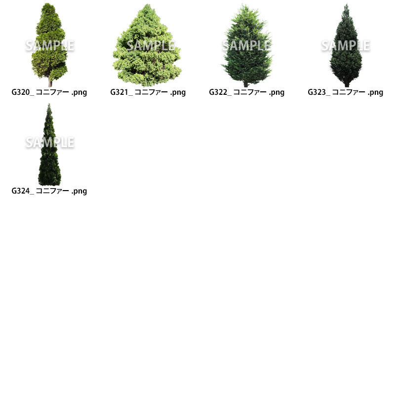 ガーデン庭木素材 コニファー 37個セット G30 06 樹木素材 Com