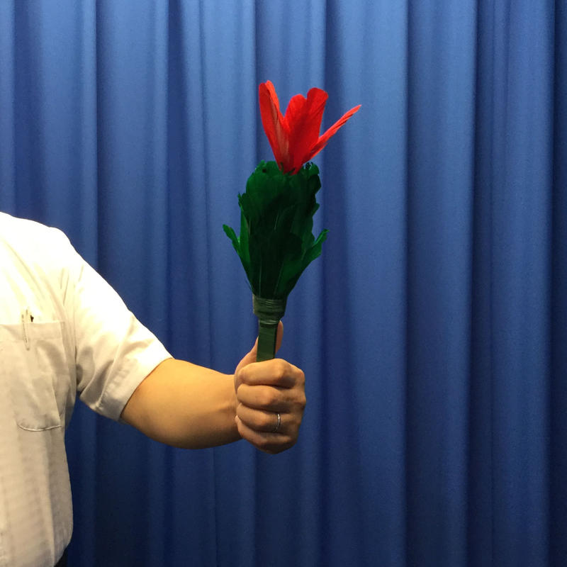 ニュースパイダーフラワーセット Ugmオンラインショップ