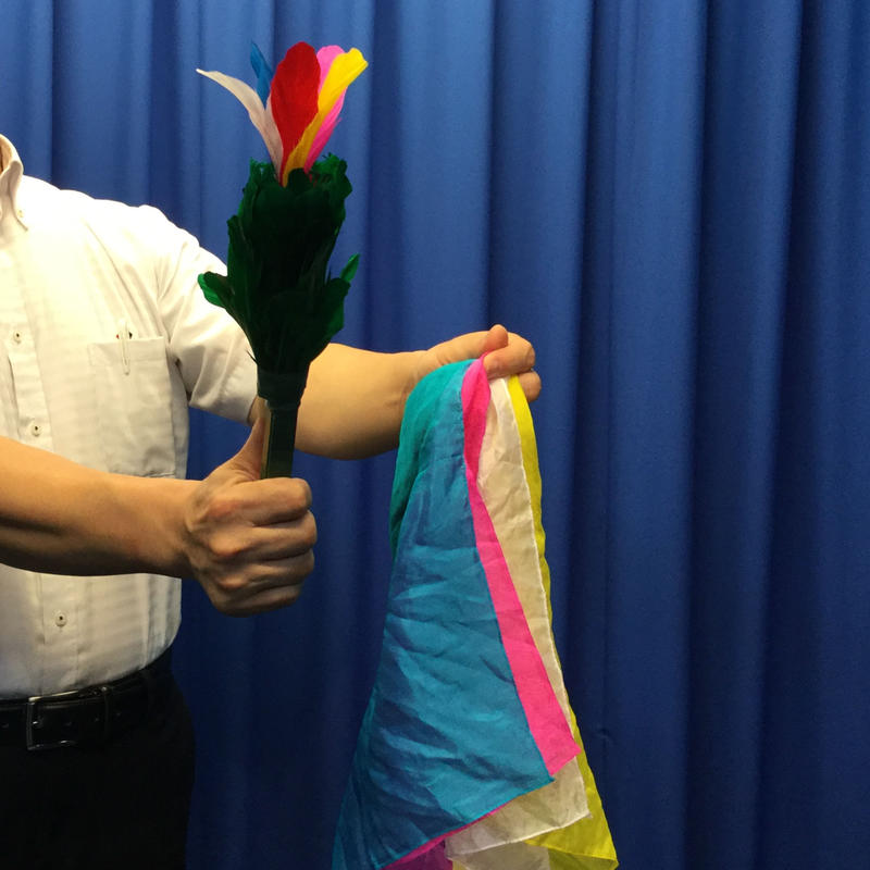 ニュースパイダーフラワーセット Ugmオンラインショップ