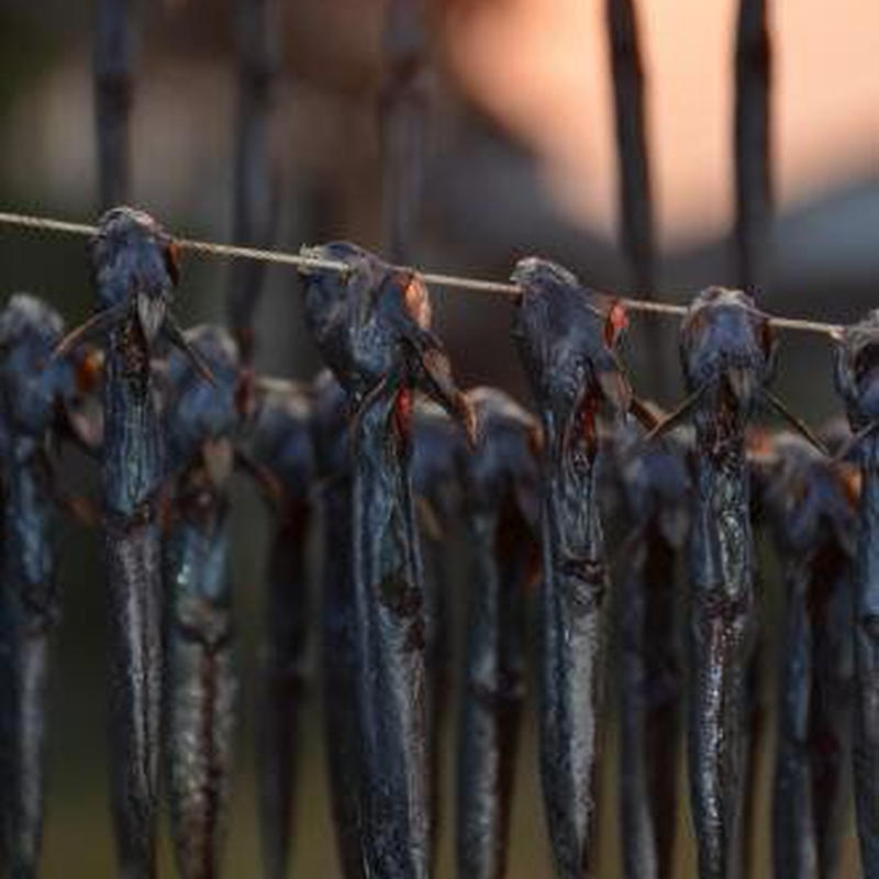 有明海 むつごろうラーメン 醤油 2袋 ムツゴロウ炙りだし ひそかな雑貨屋 うみねこ社