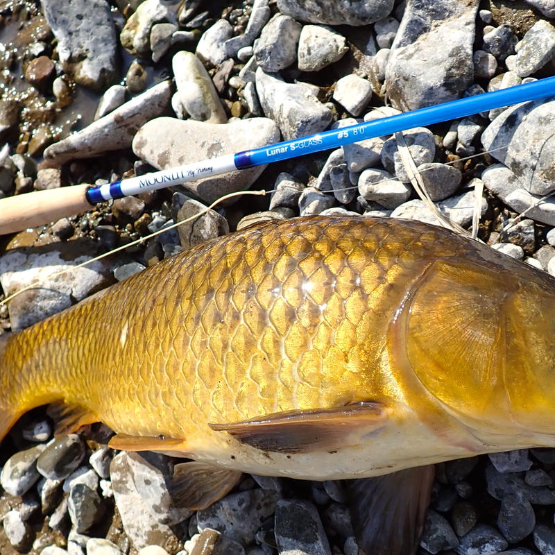 Emphegzioa Upm Emphegzioa Upm