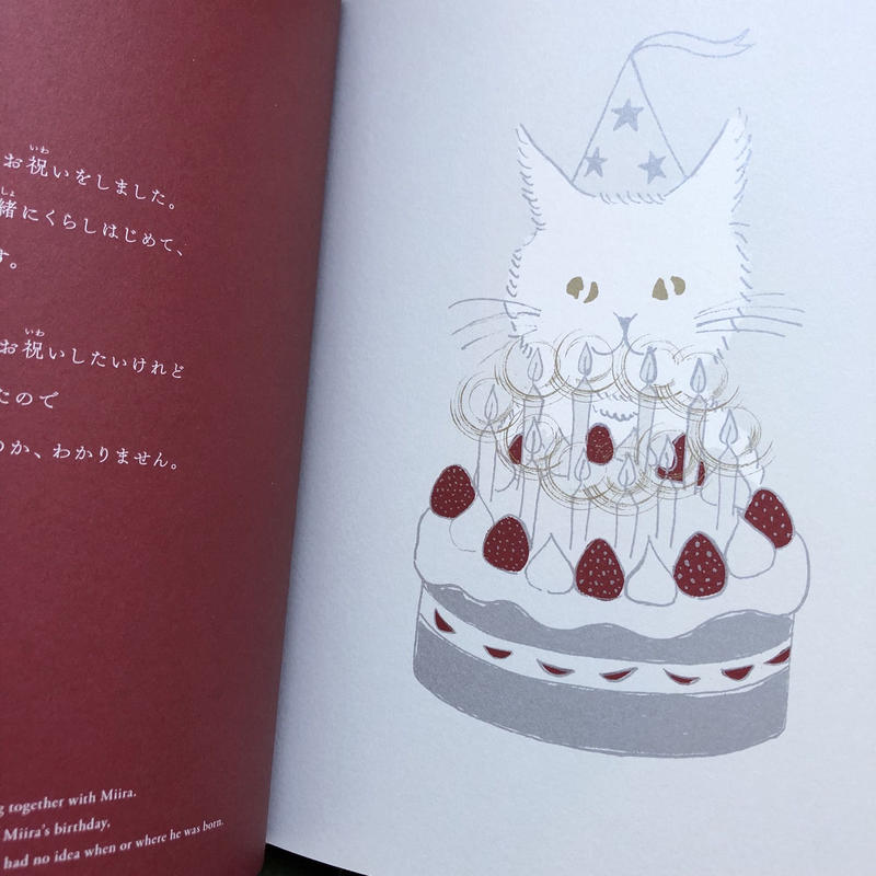 井上奈奈 猫のミーラ サイン本 Uresica