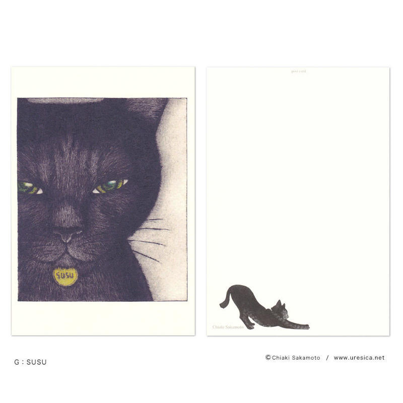 坂本千明 ポストカード(猫) | URESICA