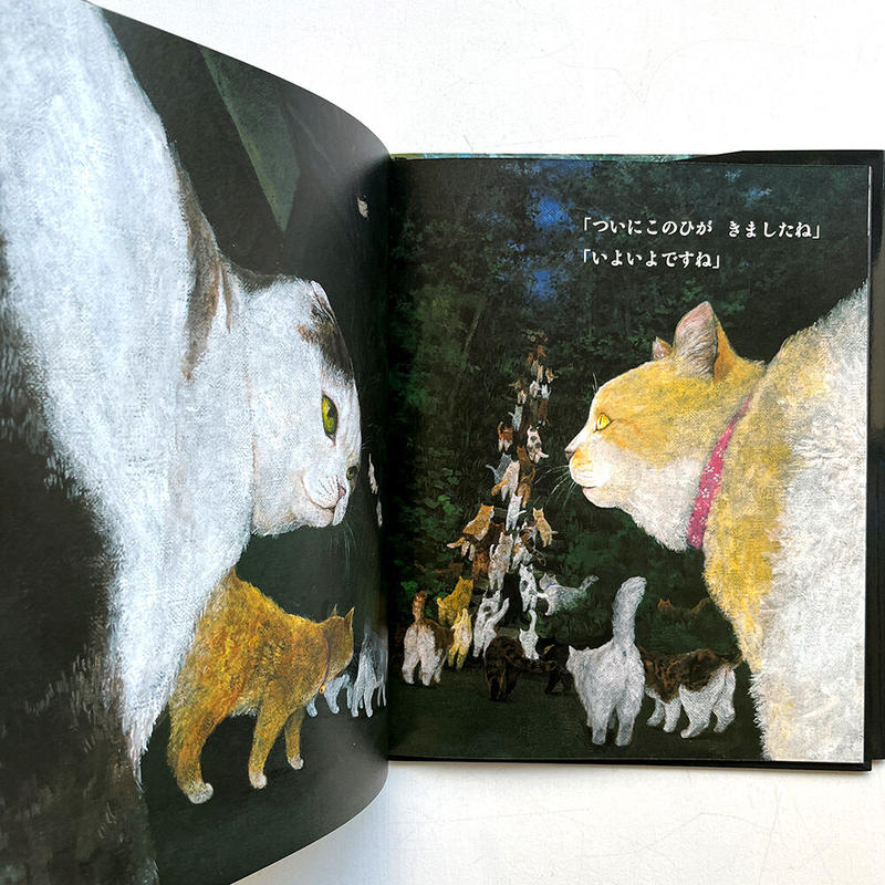 サイン本 いるのいないの 京極夏彦 町田尚子