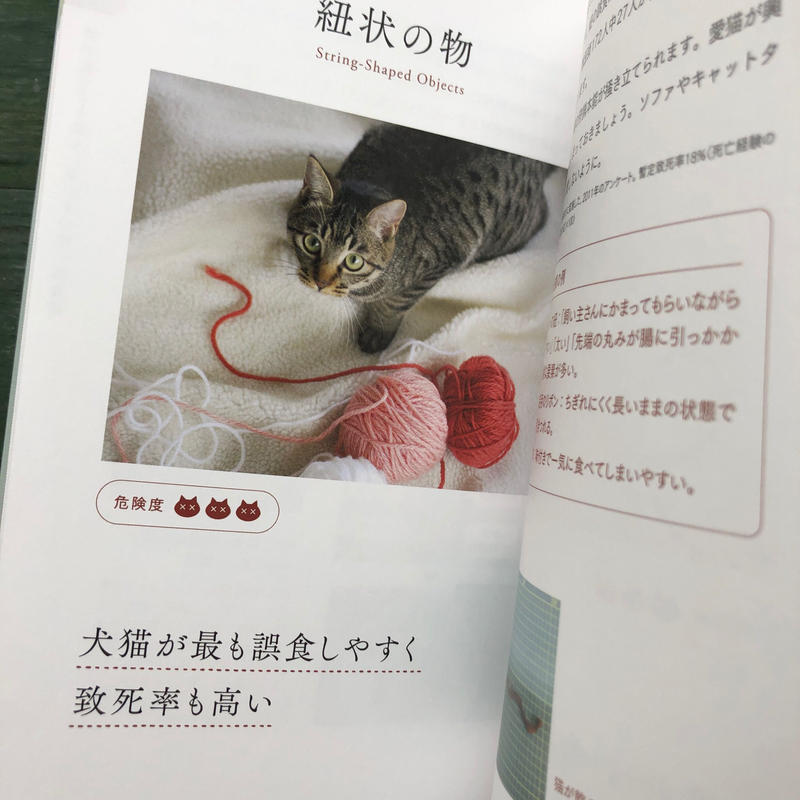 猫が食べると危ない食品 植物 家の中の物図鑑 Uresica