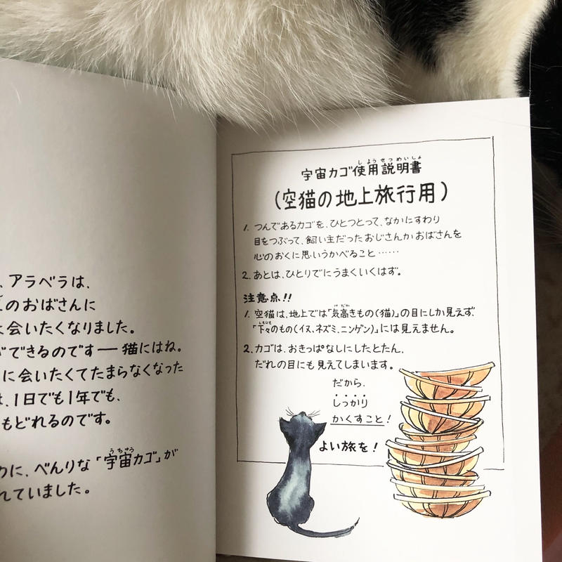 空猫アラベラ Uresica 空猫アラベラ Uresica