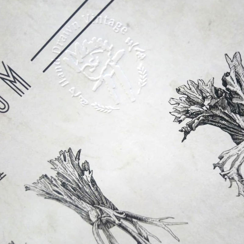 ビカクシダ原種18種図鑑ポスター Vandaka Plants