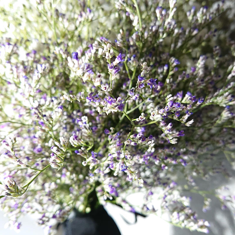 花ギフト 花 セット 切り花 プレゼント 贈り物 かすみ草のブーケと白い花瓶 生花 花