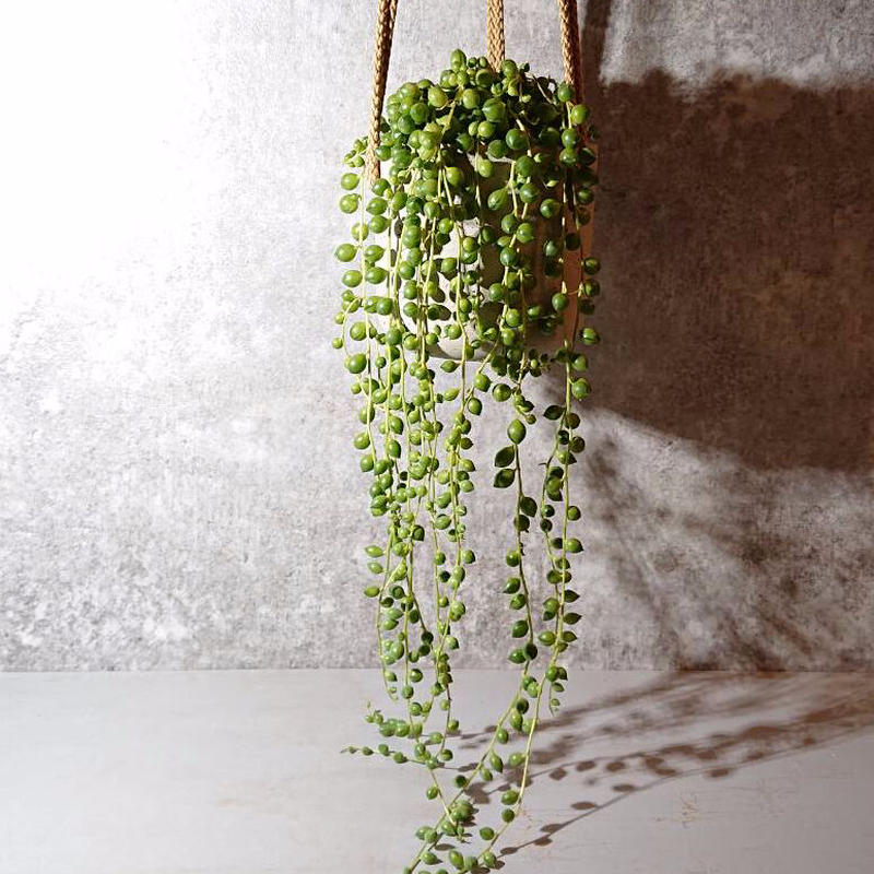 再販売 グリーンネックレス 軽量ハンギングプランター オランダ セット 観葉植物 多肉