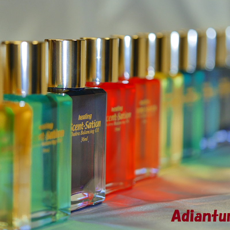 センセーションカラーセラピーボトル10本 テキスト付き