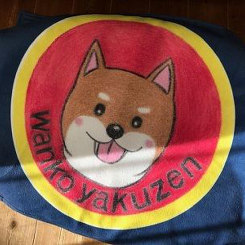 バツグンの保温性と軽さ 肌触り優しい犬のためのフカフカブランケット ワンコ薬膳オリジナルグ