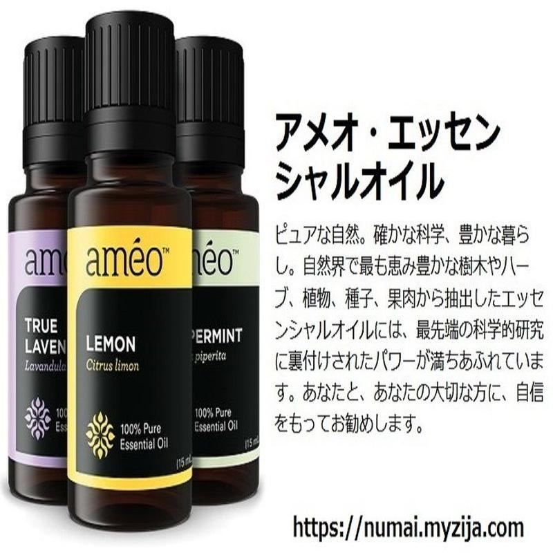 Ameoアメオ エッセンシャルオイル フランキンセンス 15 Ml Well Bein Ameoアメオ エッセンシャルオイル フランキンセンス 15 Ml Well Bein