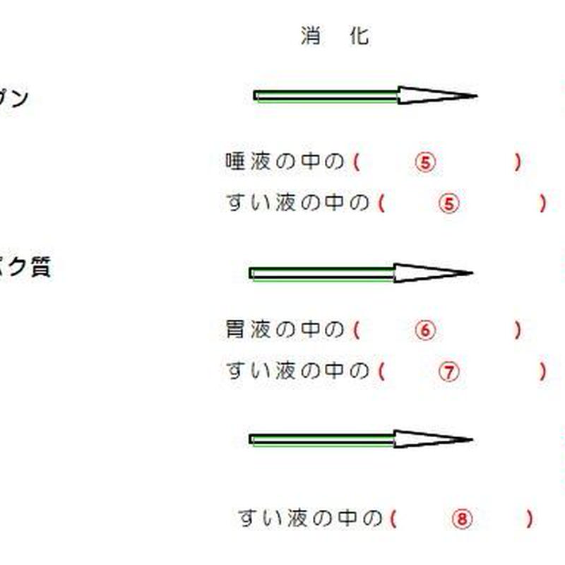 消化酵素とその働きを覚える We Love Science