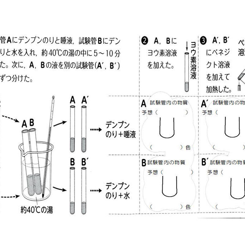唾液のはたらきを調べる実験 We Love Science