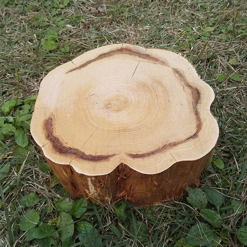 薪割り台 切り株 ひのき 丸太 約28x28cm 厚さ約10cm Wildoutdoor