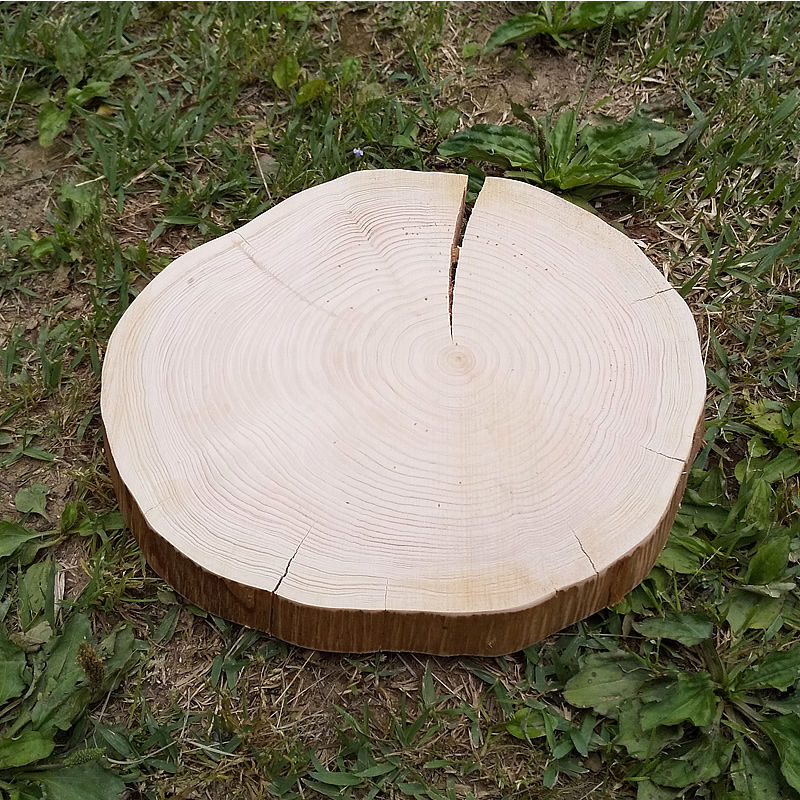 薪割り台 切り株 ひのき 丸太 約28x26cm 厚さ約3cm Wildoutdoor