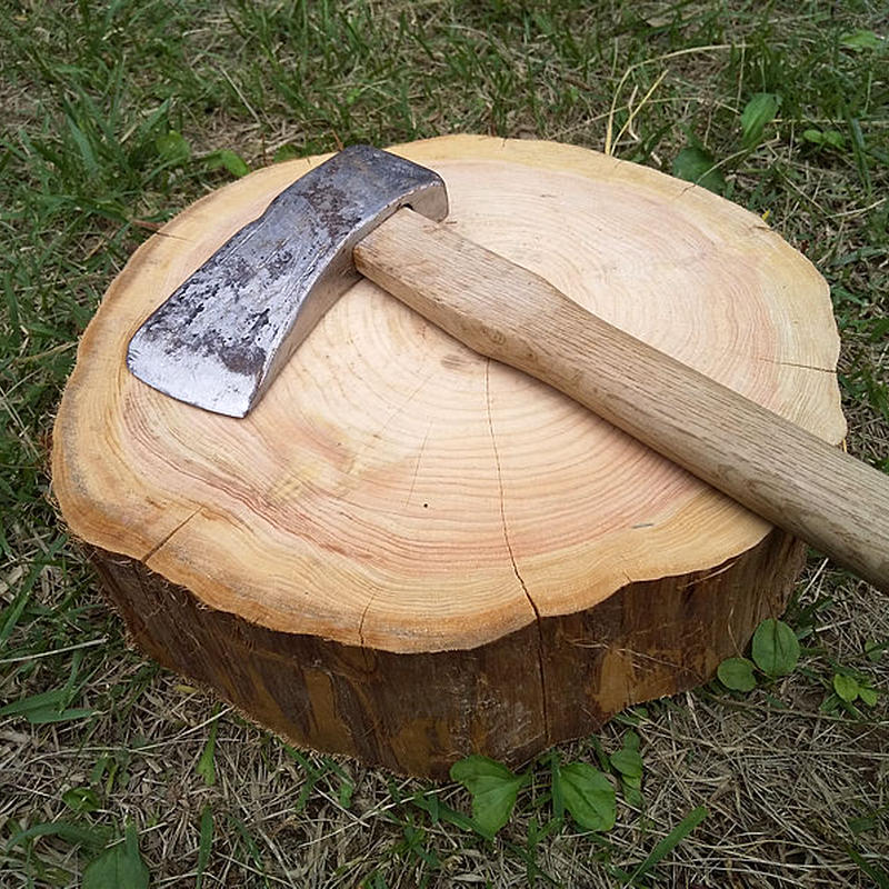 薪割り台 切り株 ひのき 丸太 約30x27cm 厚さ約8 10cm Wildoutdoor