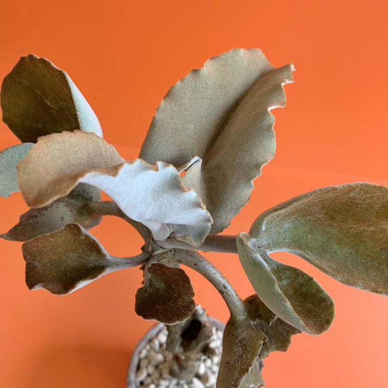 Tkyjd45m84ctpm Tkyjd45m84ctpm