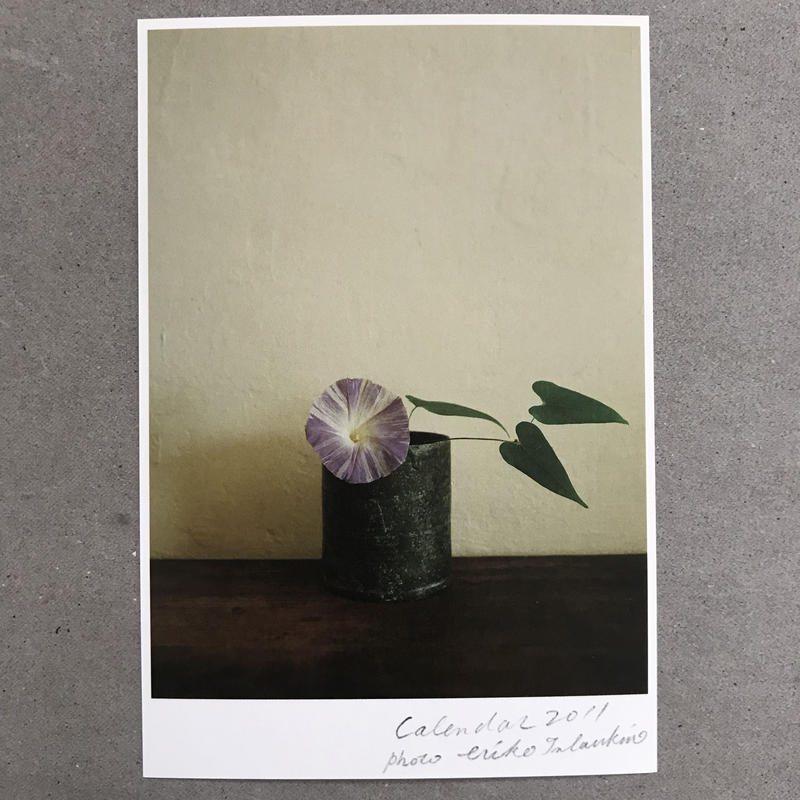 季節の葉書 朝顔 季節のかけら