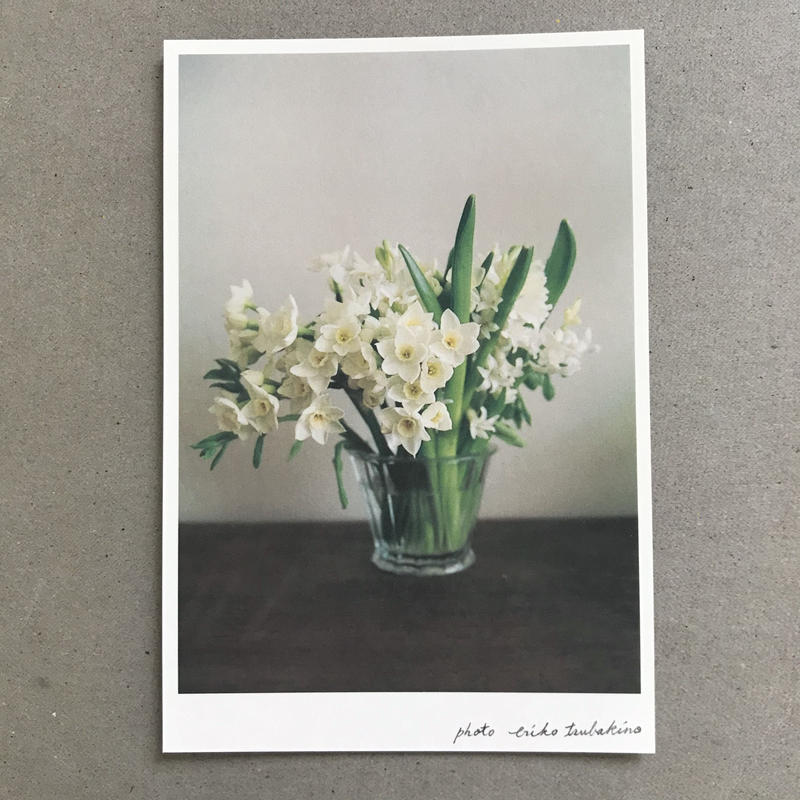 季節の葉書 白い花束 季節のかけら