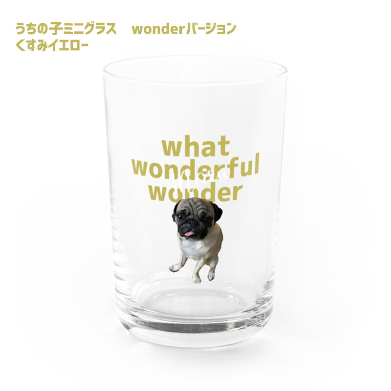うちの子 ミニグラス Wonderバージョン くすみカラー 写真で作る お名前入り Wo