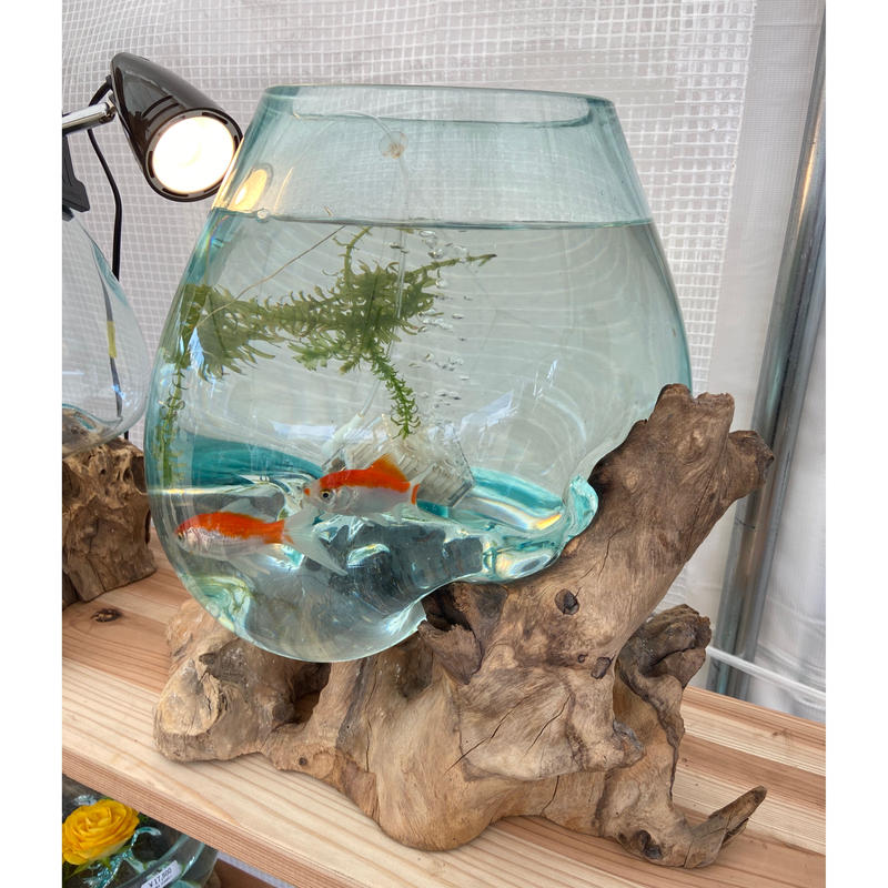 Basic ベーシック Xl 流木ガラス専門店 Fukuda Factory