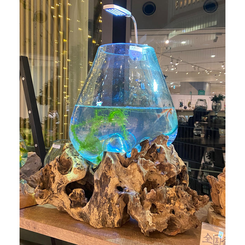 Special Product スペシャルプロダクト ａ No 101 流木ガ