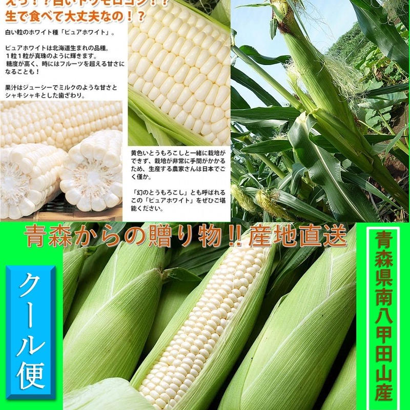 新鮮野菜 早期予約 八甲田きみホワイト とうもろこし 秀品 ２４本入 箱 青森県南八甲田山