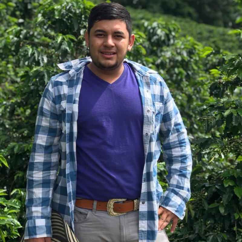 ラ レオナ農園豆１ ライトロースト Wonderful World Coffee Onli