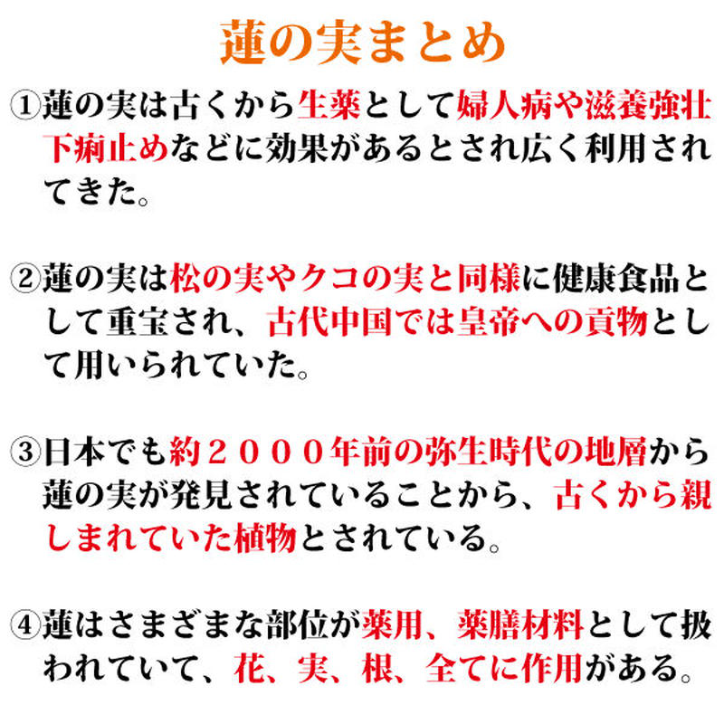 蓮の実 300g ハスの実 薬膳 無農薬 検査済み 下痢 不安 不眠 ストレス イライラ改善