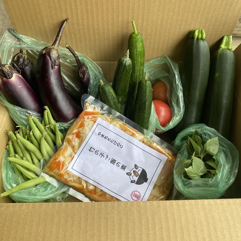 農薬不使用 化学肥料不使用 野菜６ ８種セット 竹の子ご飯の素 送料無料 やまもとたけのこ