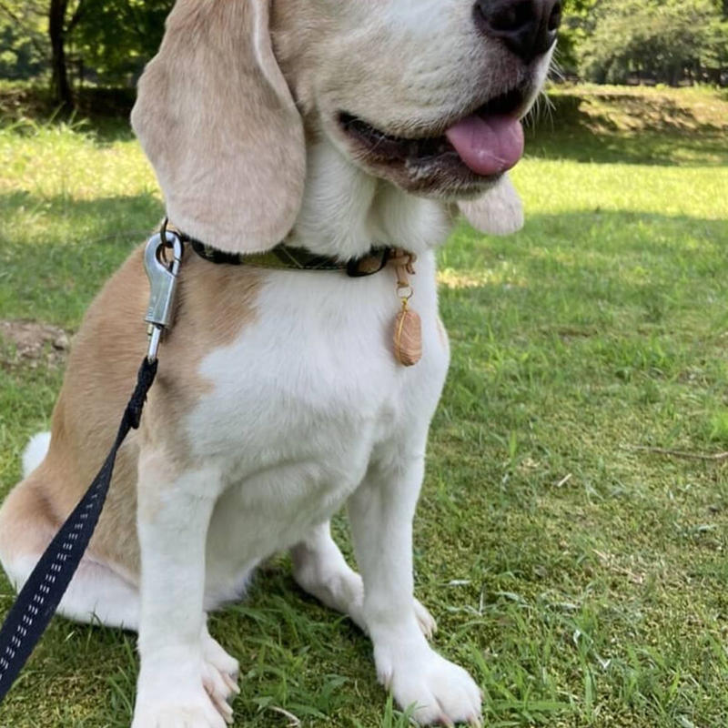 天然素材で愛犬を虫から守る メソポア 虫よけペンダントトップ 小型犬用 Sサイズ ひば油2
