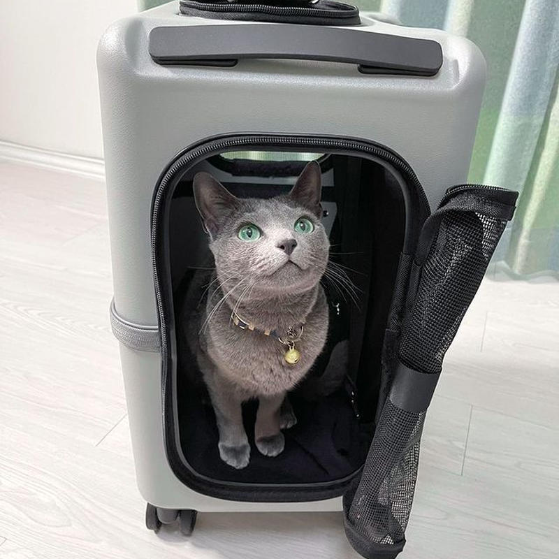 スーツケースメーカーが作ったペットキャリー Petico Mサイズ 山猫本舗 スーツケースメーカーが作ったペットキャリー Petico Mサイズ 山猫本舗