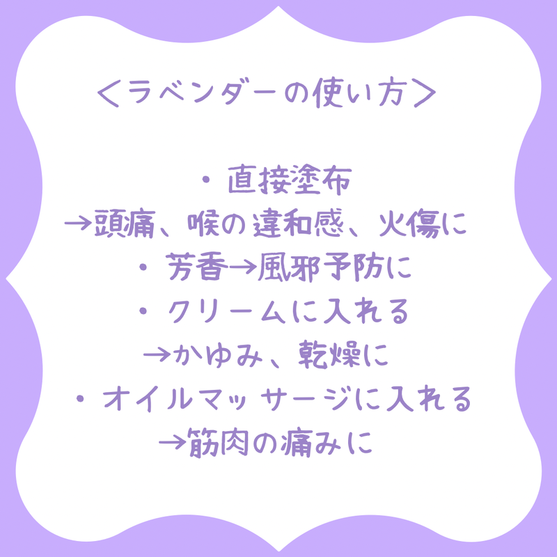 免疫力向上 精油 ラベンダー アングスティフォリア 地球と自分に優しくなるショップ
