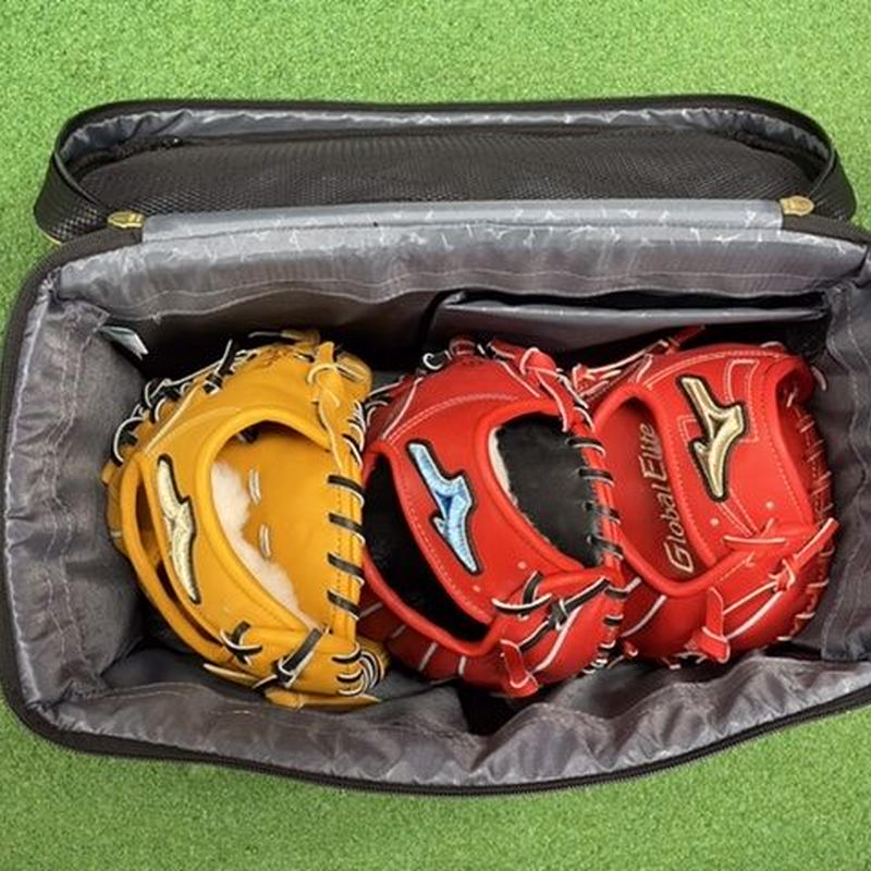 豪華ラッピング無料 グラブケース 刺繍無料 1fjd2509 Mizuno ミズノ グラブケース2個入れ ミズノプロ 100 シューズケース Honmono 豪華ラッピング無料 グラブケース 刺繍無料 1fjd2509 Mizuno ミズノ グラブケース2個入れ ミズノプロ 100 シューズケース Honmono