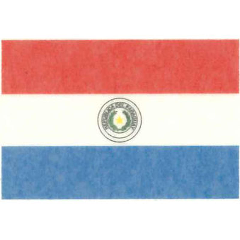 国旗フェイスシール パラグアイ 30mm 45mm 薄手 Hcpオンラインストア