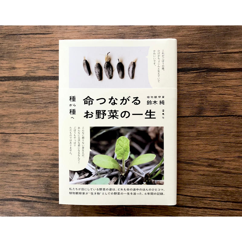 種から種へ 命つながるお野菜の一生 よもぎbooks 種から種へ 命つながるお野菜の一生 よもぎbooks