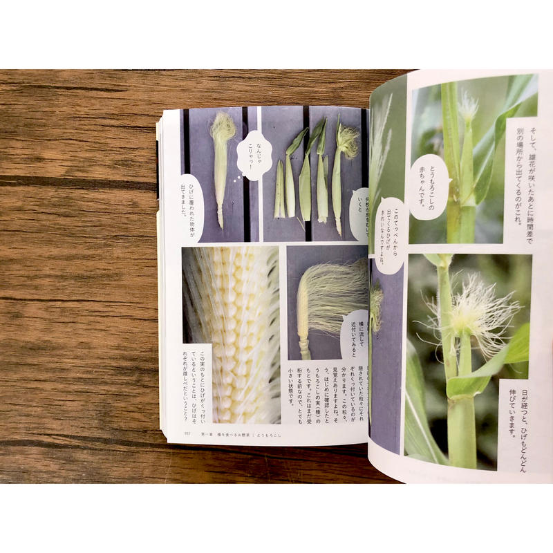 種から種へ 命つながるお野菜の一生 よもぎbooks 種から種へ 命つながるお野菜の一生 よもぎbooks