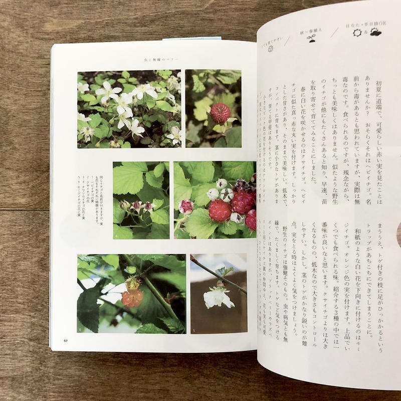 食べられる庭図鑑 よもぎbooks