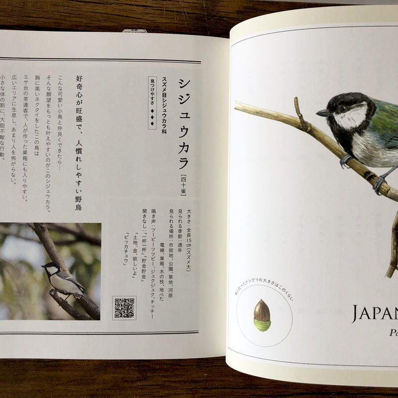 子どもと一緒に覚えたい 野鳥の名前 よもぎbooks 子どもと一緒に覚えたい 野鳥の名前 よもぎbooks