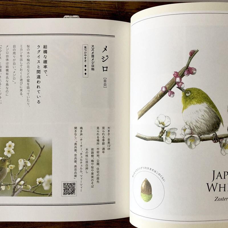子どもと一緒に覚えたい 野鳥の名前 よもぎbooks