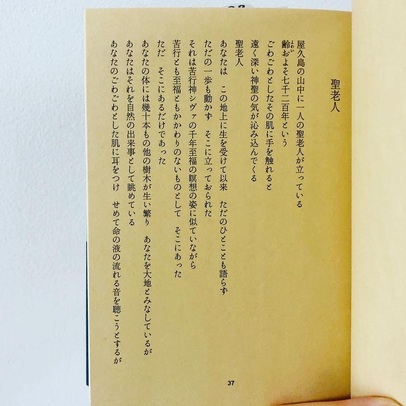 火を焚きなさい 山尾三省の詩のことば よもぎbooks 火を焚きなさい 山尾三省の詩のことば よもぎbooks