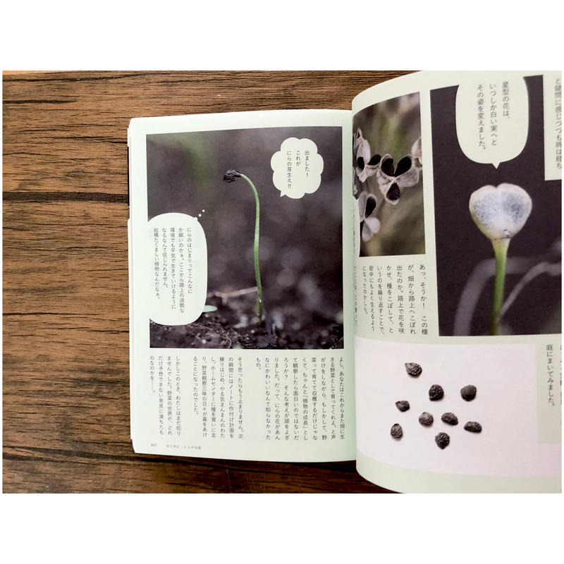 種から種へ 命つながるお野菜の一生 よもぎbooks 種から種へ 命つながるお野菜の一生 よもぎbooks
