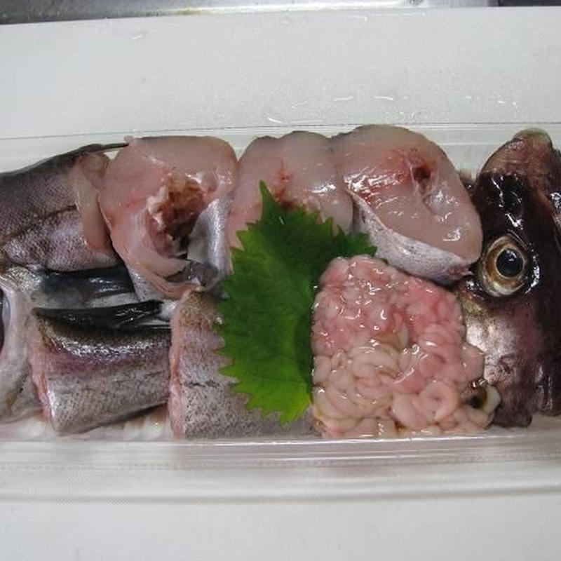 生鯳 生スケトウダラ 寿都丸出し米澤商店