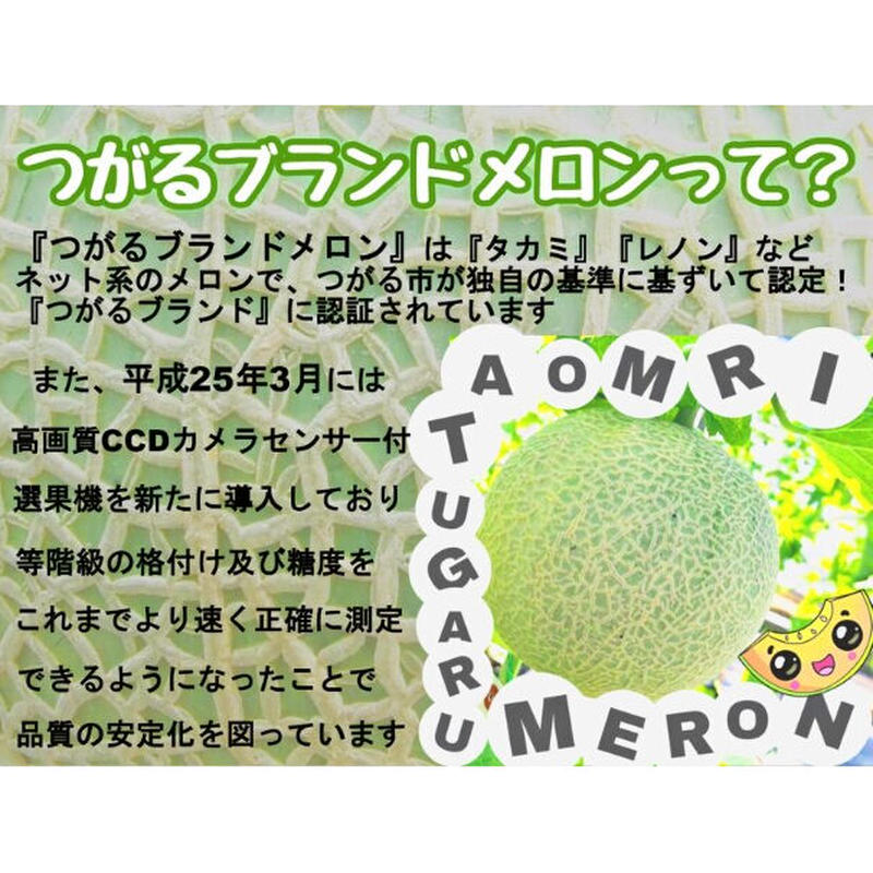メロン 青森産 貴味メロン 青肉 大玉 2玉 約2 6 3kg 送料無料 産地直送フルーツ