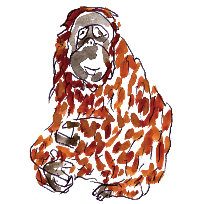 イラスト素材 全種類セット 27点 Yuchostores